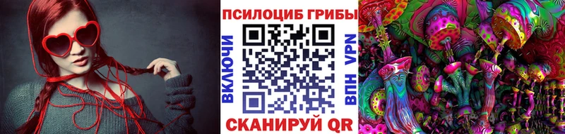 цена   Туапсе  Галлюциногенные грибы GOLDEN TEACHER 
